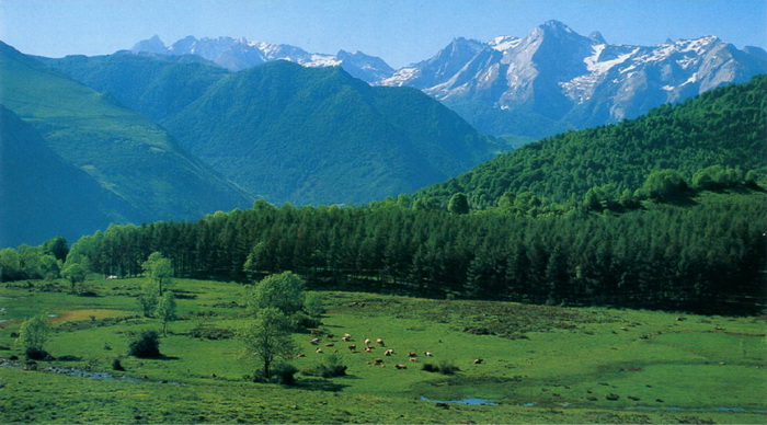 Пиренеи горы фото