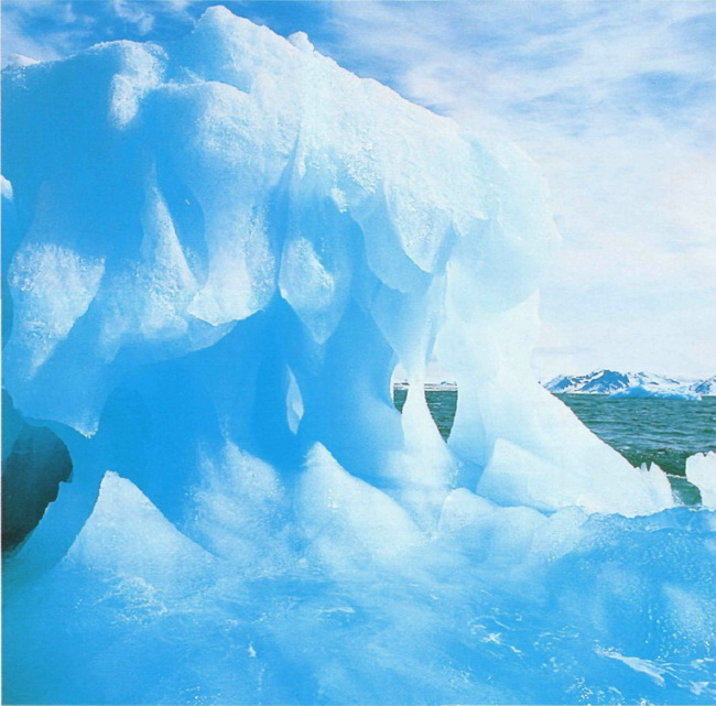 Арктика цифры и факты фото