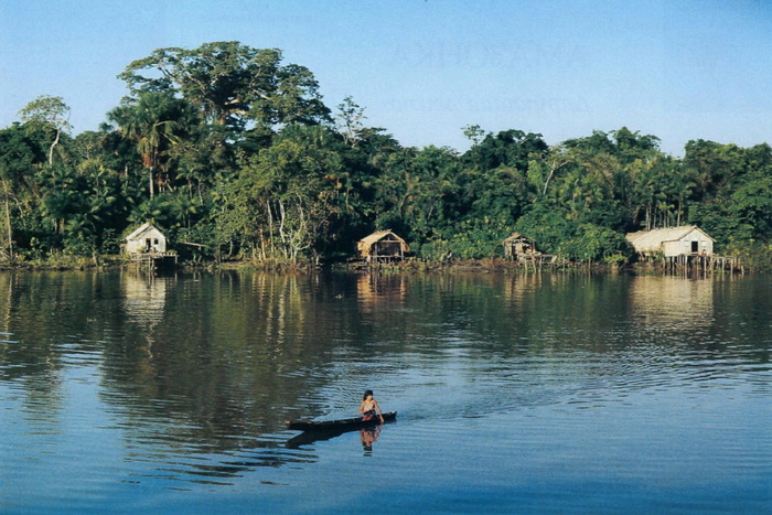 река амазонка фото