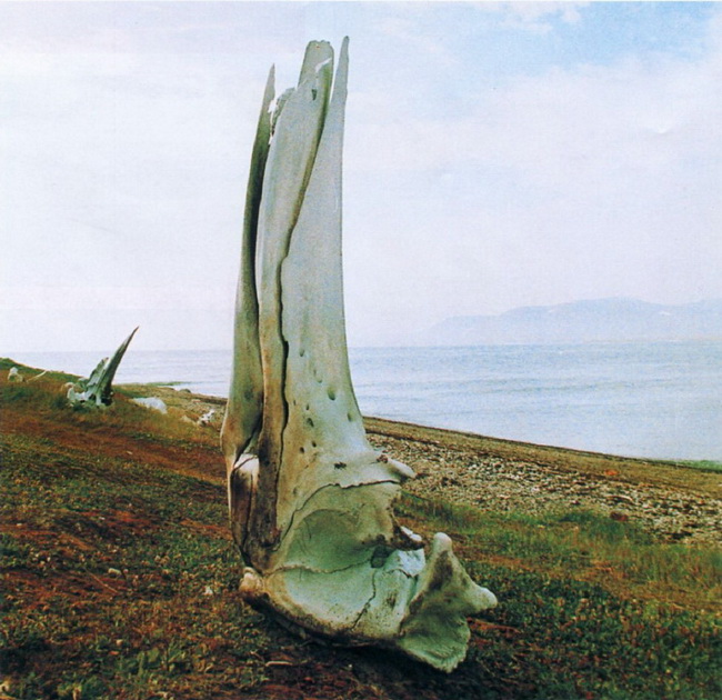 Берингово море фото